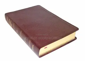 Thompson Chain Reference Bible - Style 809 Burgundy, NIV