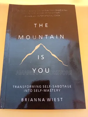 The Mountain Is You by Brianna Wiest