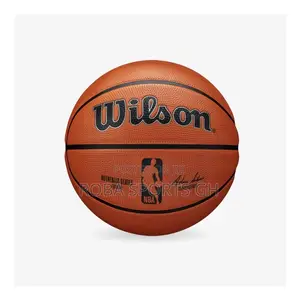 Wilson Basketball – Official Size Indoor/Outdoor Basketball Ring & Hoop