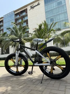 Fat Tyre Bicycle Snook