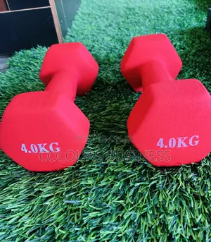 4kg Dumbbell – Cast Iron / Rubber Hex Dumbbell