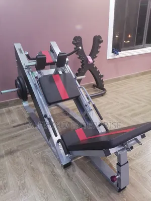 Commercial Leg Press/Hack Slide Machine (2in1)