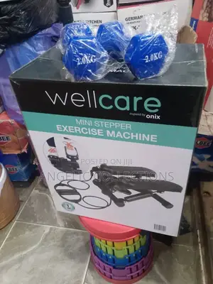 Mini Stepper With 2kg Dumbbells