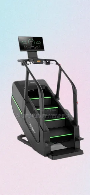 Gymost 300kg Stair Climber