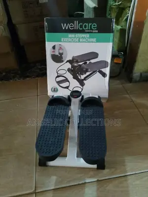 Well Care Mini Stepper