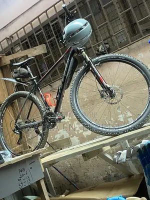 29 Mountain Bike