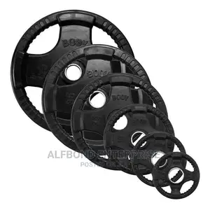 Standard Olympic Weights 100kg