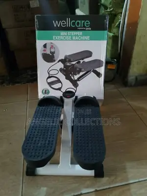 Well Care Mini Stepper for Exercise