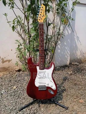 Axl Player Deluxe Telecaster Style With Padded Bag