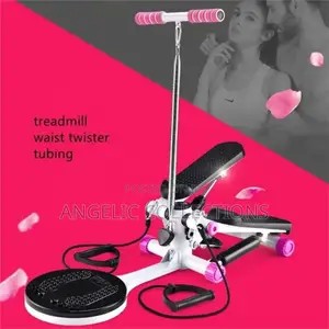 Mini Stepper With Waist Twister