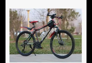 28" Mountain Bike - Multicolor
