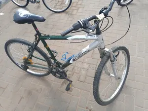 North Way Columbia Bicycle(Grey/Green)