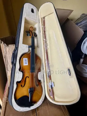 Violin 4/4 [Brown] [Wood]