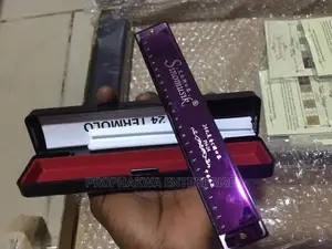 49-Hole Professional Harmonica Mouth Organ – Diatonic Harp with Protective Case & Music Reference Sheet