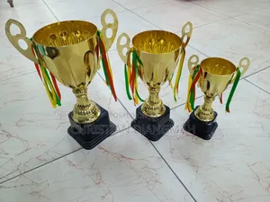 Event Award Trophies – Gold-Plated Championship Trophies for Sports, Schools & Ceremonies