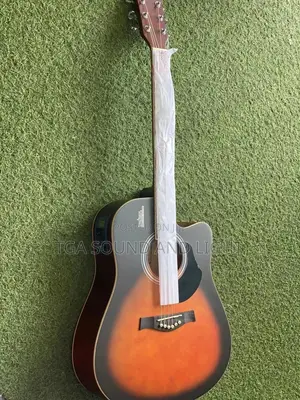 Rosen Semi-acoustic Guitar With Bag, Strap, Capo And String | Hollow Body | Warm Jazz Tone | Electric-Acoustic Hybrid