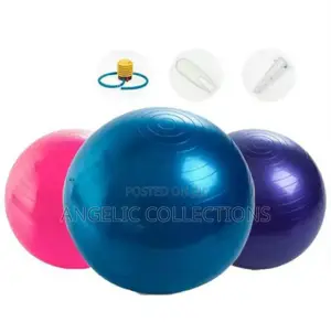 Gym Ball/Bith Ball