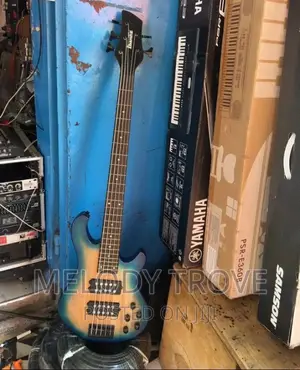 Ibanez Bass Guitar(Passive) – Professional Active & Passive Bass Guitar