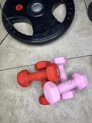 Rubber Coated Dumbbell (2kg Pair)