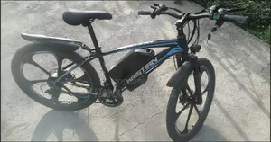 26 Inch Mountain Electric Bike