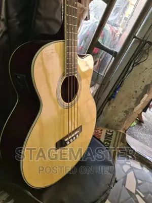 Semi Acoustic Bass Guitar