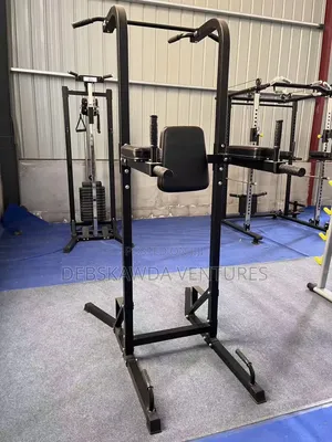 Power Tower Dip Pull Up