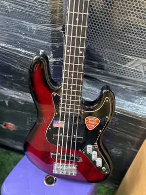 Passive Bass Guitar – Professional Active/Passive Bass Guitar