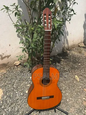 Eterna Ec 18 Kaohsiung Yamaha Co.Ltd