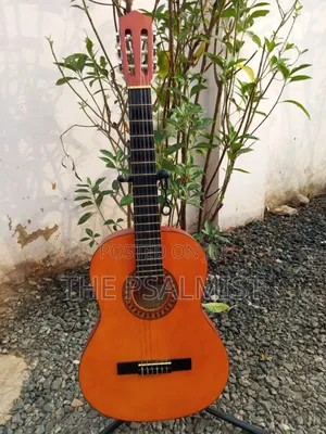 Stagg C442 4/4 Size Classical Guitar In A Padded Bag | Nylon-String | Warm Mellow Tone | Classical & Fingerstyle