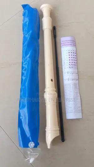 Flute/Recorder