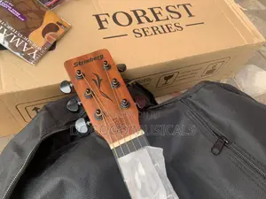 Strinburg Forest Series Simi-Acoustic Guitar