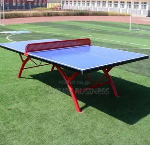 Ping Pong Tennis Table