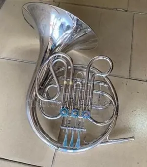 Titanic Gold/Silver-plated Double French Horn