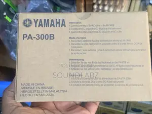 Yamaha Pa-300B Power Keyboard Adapter – Portable Arranger Keyboard with Auto Accompaniment & Voices