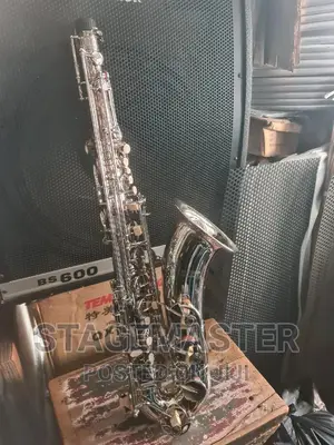 Saxophones (Turner) – Professional Alto Saxophone for Students & Performers