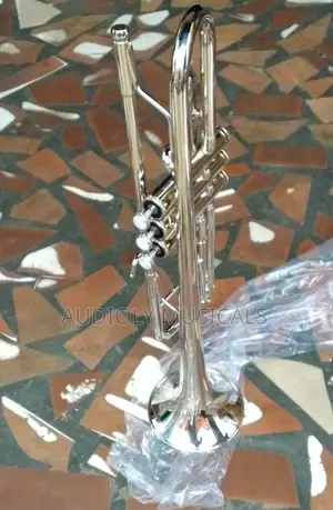Titanic Professional Silver Trumpet | Yellow Brass Bell | Monel Valves | Beginner to Professional
