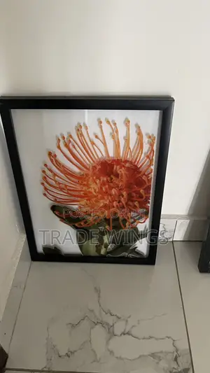 1 Used Black Frame Beautiful Artwork For Sale