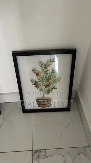 1 Usedtree Design Black Frame For Sale