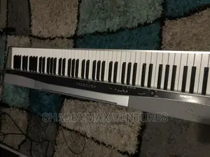 Casio Privia PX-100 88-Key Digital Piano – Scaled Hammer Action, Dual/Split & Built-In Lesson Function