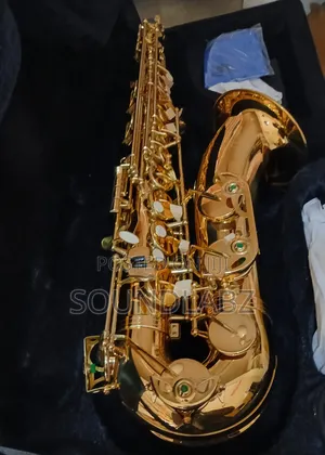 Gold Tenor Saxophone – Bb Professional Tenor Sax, Gold Lacquer Finish with Mouthpiece, Reeds & Case