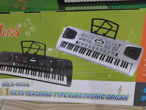 Electronic Organ