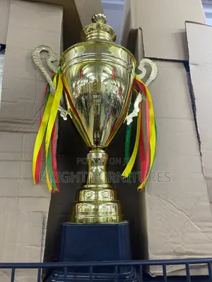 Award Trophy Cup – Elegant Gold-Plated Trophy for Sports, Schools & Corporate Events