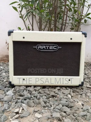 Chorus Acoustic A15c Guitar Combo