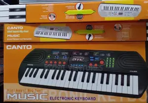 Electronic Keyboard (44)