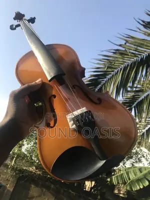 Violin 4/4 - Professional Grade | Spruce Top | Maple Back | Ebony Fingerboard | Bow & Rosin Included