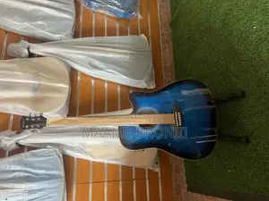 Semi Acoustic + Accessories/Bag – 6-String Semi-Acoustic Hollow Body Guitar with Cutaway