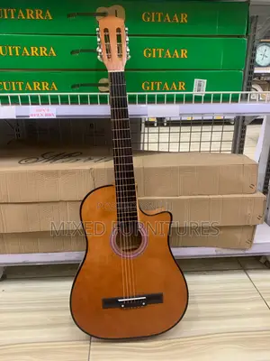 Acoustic Guitar
