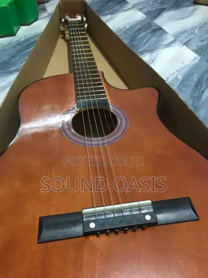 New Learner/Beginner Acoustic Guitar