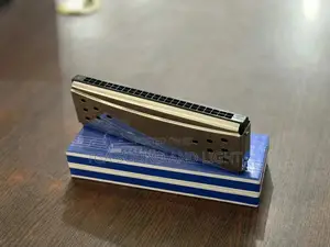 Bee Silver Mouth Organ With 48 Holes | Professional Grade | Durable Build | Stage & Studio Ready