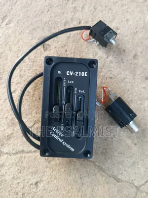 Active Control System Cv21o E Violin Amp